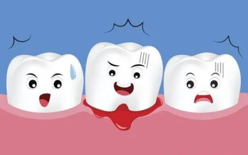 Kem đánh răng nhập khẩu Đức