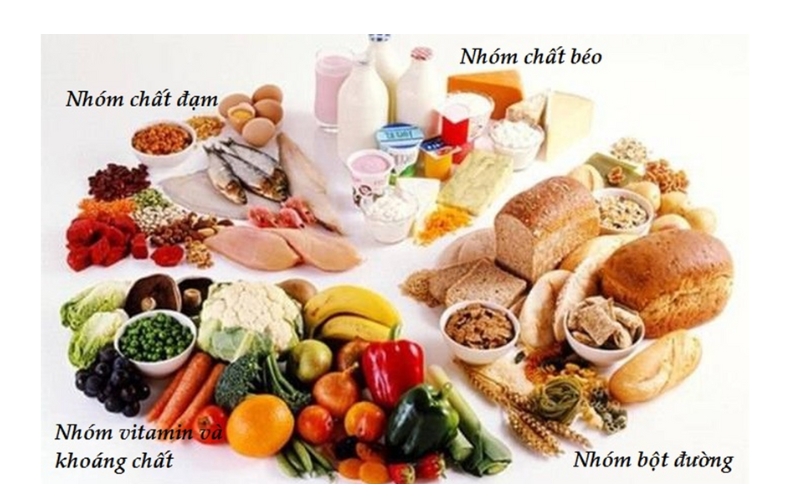 thưc phẩm hữu cơ Đức